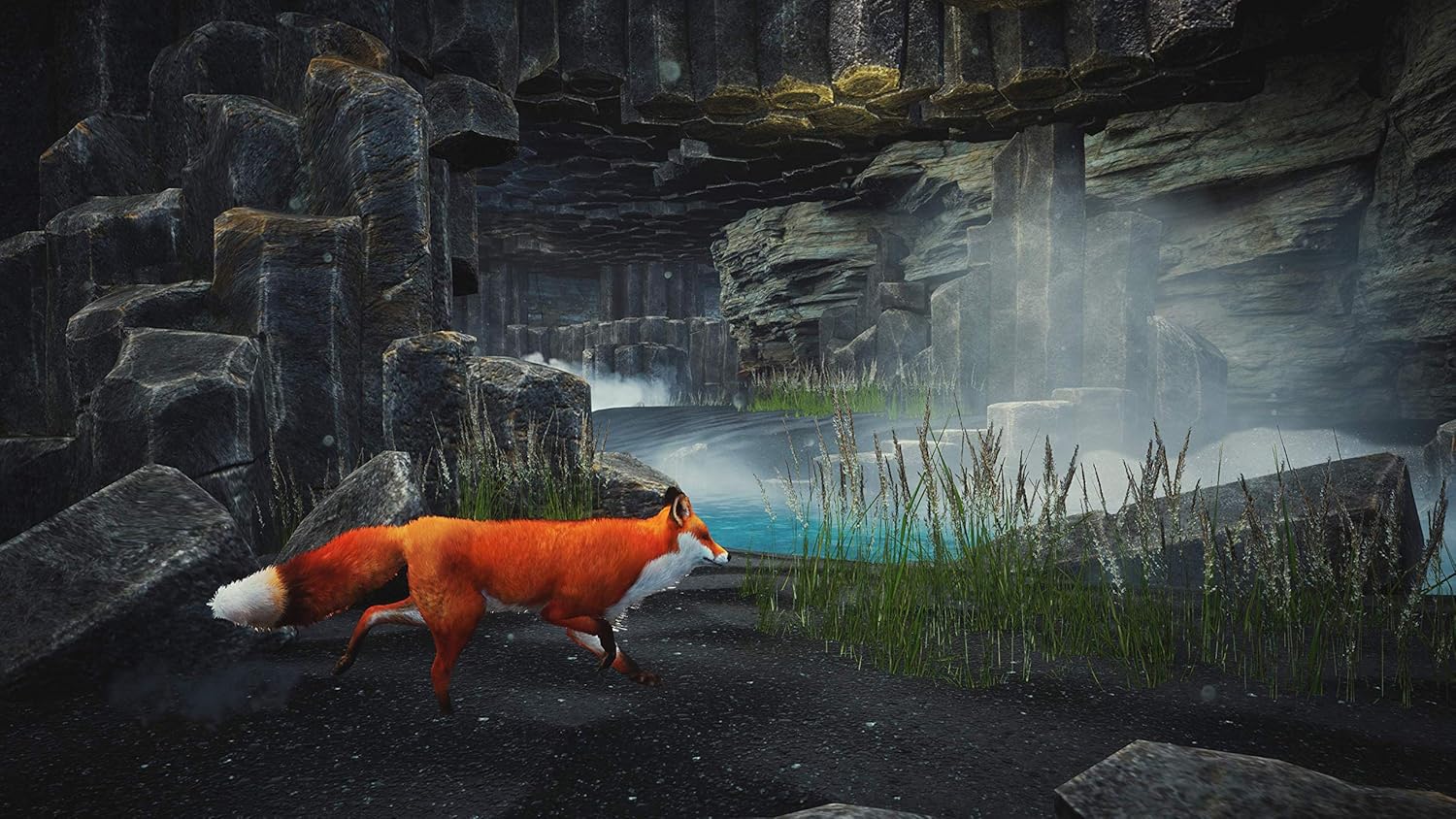 Spirit of The North - PlayStation 5 Standard Edition